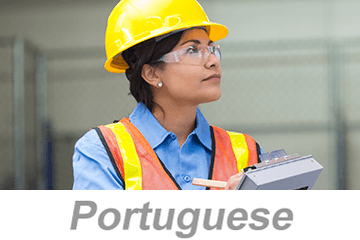 Inspections and Observations (Portuguese)