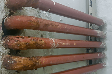 Healthy Buildings: Lead Awareness