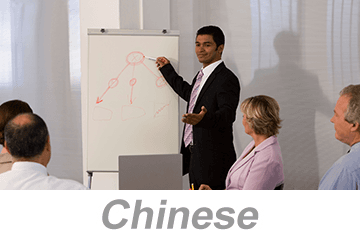Integrated Systems - Achieving Organizational Excellence (Chinese)