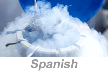 Cryogen Safety (Spanish)