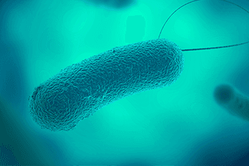 Healthy Buildings: Legionella and Water Management