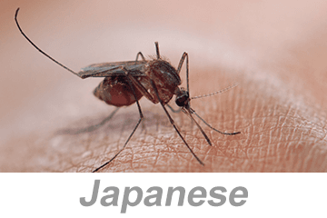 Vector-Borne Disease Awareness: Mosquitoes, Ticks and Other Pests (Japanese)