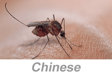 Vector-Borne Disease Awareness: Mosquitoes, Ticks and Other Pests (Chinese)