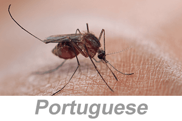 Vector-Borne Disease Awareness: Mosquitoes, Ticks and Other Pests (Portuguese)