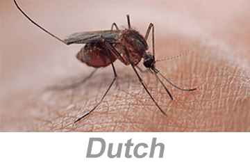 Vector-Borne Disease Awareness: Mosquitoes, Ticks and Other Pests (Dutch)