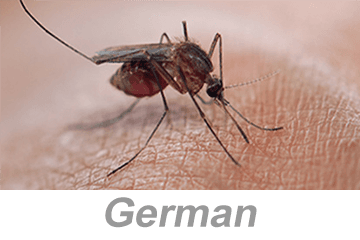 Vector-Borne Disease Awareness: Mosquitoes, Ticks and Other Pests (German)