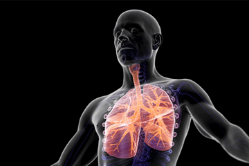 HAZWOPER: Toxicology (US)