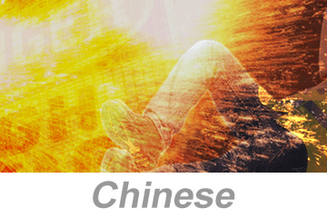 Electrical Arc Flash Awareness (Chinese)