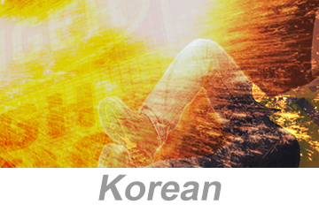 Electrical Arc Flash Awareness (Korean)