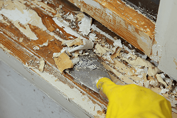 Health Hazards in Construction, Parts 1-5