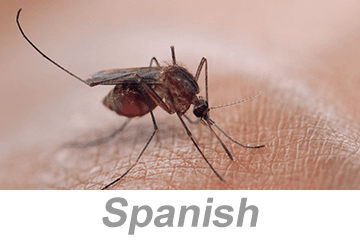 Vector-Borne Disease Awareness: Mosquitoes, Ticks and Other Pests (Spanish)