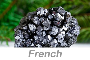 Lead Poisoning (French)