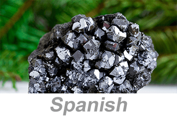 Lead Poisoning (Spanish)
