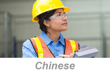 Inspections and Observations (Chinese)