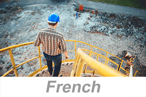 Walking/Working Surfaces (French)